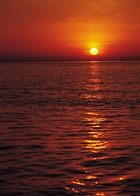 포토 JPG 물결 바다 자연현상 자연 하늘 풍경 사람없음 야외 태양 일출 노을 어둠 일몰 저녁 국내포토 자연요소 야간 생태계 파일형식