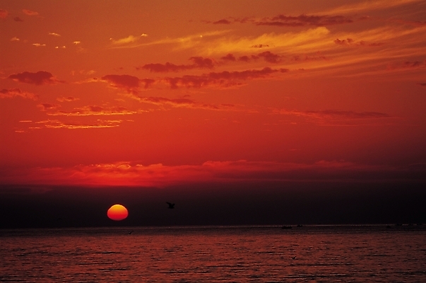 포토 JPG 구름 바다 자연현상 자연 하늘 풍경 사람없음 야외 빨간색 태양 일출 노을 어둠 일몰 야간 저녁 국내포토 자연요소 컬러 생태계 파일형식