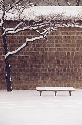 포토 JPG 주간 나무 식물 계절 공원 벽 겨울 벤치 의자 자연 벽돌 풍경 사람없음 야외 담장 쌓기 정원 눈 도시 국내포토 자연요소 공공시설 가구 모션 날씨 생태계 파일형식