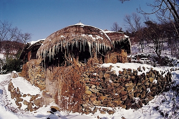 포토 JPG 주간 나무 식물 한국문화 한국전통 시설물 계절 건축 고건축 겨울 한국건축 주택 돌담 초가집 풍경 사람없음 야외 담장 동양건축 시골 눈 시골집 고드름 국내포토 자연요소 동양문화 전통 건축물 날씨 한옥 한국 건물 얼음 돌_바위 파일형식 동양