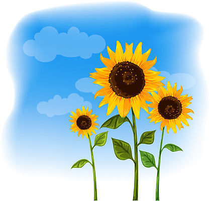 EPS 주간 식물 사계절 계절 꽃 백그라운드 일러스트 여름꽃 자연 하늘 해바라기 풍경 사람없음 야외 여름 입하 국내일러스트 자연요소 절기 생태계 파일형식 벡터 여름_계절