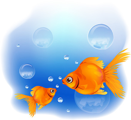EPS 동물 척추동물 사계절 계절 백그라운드 일러스트 자연 관상어 어류 사람없음 물 여름 수중 금붕어 붕어 국내일러스트 자연요소 수중동물 생태계 파일형식 벡터