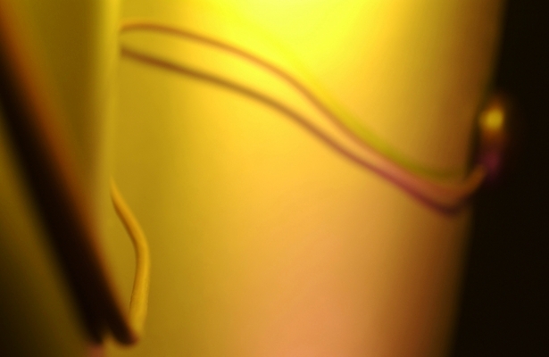 포토 JPG 스튜디오촬영 백그라운드 사람없음 컴퓨터 컴퓨터용품 전선 마우스 오브젝트 컴퓨터부품 잭 케이블선 인터페이스 국내포토 실내 전자제품 부속품 파일형식