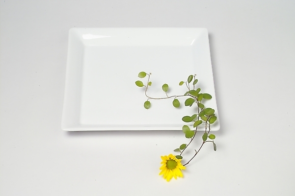 포토 JPG 스튜디오촬영 식물 그릇 접시 꽃 줄기 생활용품 잎 나뭇잎 사람없음 인테리어 도자기 사각접시 국내포토 식기 디자인 실내 오브젝트 파일형식