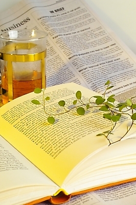 포토 JPG 스튜디오촬영 식물 커피 음식 잎 주방용품 사람없음 책 컵 전자제품 가전제품 신문 커피메이커 오브젝트 그라인더 커피여과기 국내포토 식기 음료 생활용품 실내 간행물 뉴스 커피용품 파일형식