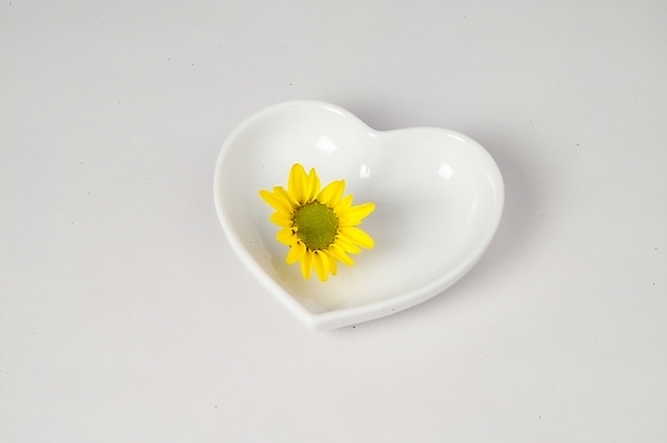 포토 JPG 스튜디오촬영 식물 그릇 접시 꽃 생활용품 사람없음 인테리어 노란색 하트 도자기 하트접시 국내포토 모양 식기 디자인 컬러 실내 오브젝트 파일형식