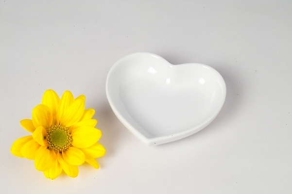 포토 JPG 스튜디오촬영 식물 그릇 접시 꽃 생활용품 사람없음 인테리어 하트 도자기 하트접시 국내포토 모양 식기 디자인 실내 오브젝트 파일형식