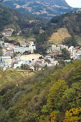 포토 JPG 주간 나무 식물 건축물 건축 섬 백그라운드 학교 자연 산 풍경 사람없음 야외 건물 마을 농촌 울릉도 도동리 섬마을 국내포토 자연요소 교육 시골 경상북도 생태계 파일형식