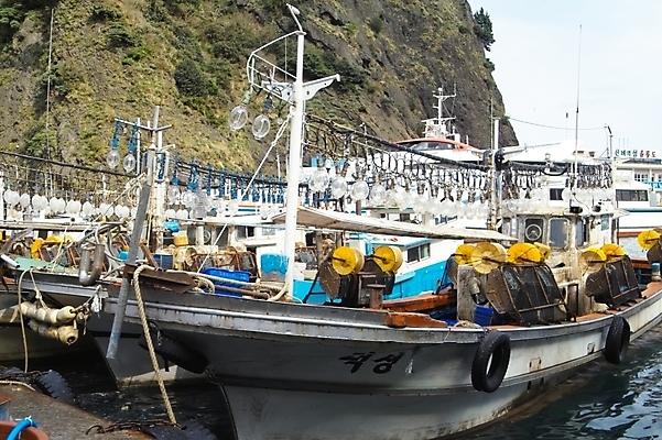 포토 JPG 주간 시설물 현대건축 건축 바다 섬 교통 수상교통 자연 산 어업 풍경 사람없음 야외 항구 돌_바위 바위 어선 어촌 울릉도 도동항 오징어배 선박 국내포토 자연요소 건축물 산업 교통수단 배_교통 교통시설 시골 경상북도 생태계 파일형식