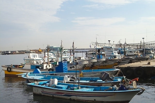 포토 JPG 주간 시설물 현대건축 건축 바다 섬 교통 수상교통 자연 어업 풍경 사람없음 야외 항구 어선 어촌 울릉도 묵호항 선박 국내포토 자연요소 건축물 산업 교통수단 배_교통 교통시설 시골 경상북도 생태계 강원도 파일형식
