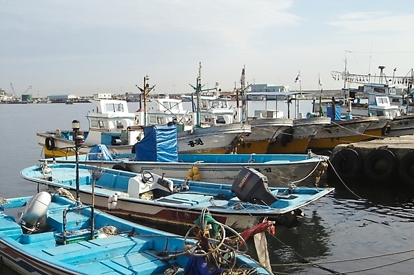 포토 JPG 주간 시설물 현대건축 건축 바다 섬 교통 수상교통 자연 어업 풍경 사람없음 야외 항구 어선 어촌 울릉도 묵호항 선박 국내포토 자연요소 건축물 산업 교통수단 배_교통 교통시설 시골 경상북도 생태계 강원도 파일형식