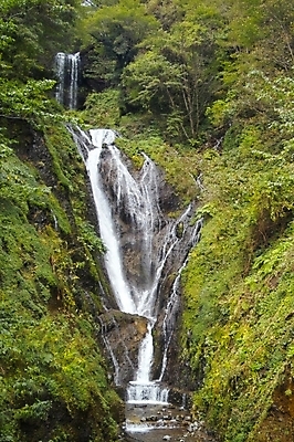 포토 JPG 주간 식물 백그라운드 자연 산 풍경 사람없음 야외 물 계곡 폭포 숲 울릉도 봉래폭포 국내포토 자연요소 섬 경상북도 생태계 파일형식