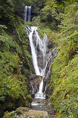 포토 JPG 주간 식물 백그라운드 자연 산 풍경 사람없음 야외 물 계곡 폭포 숲 울릉도 봉래폭포 국내포토 자연요소 섬 경상북도 생태계 파일형식