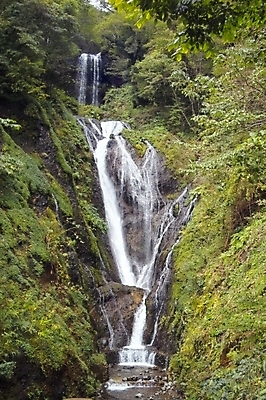 포토 JPG 주간 식물 백그라운드 자연 산 풍경 사람없음 야외 물 계곡 폭포 숲 울릉도 봉래폭포 국내포토 자연요소 섬 경상북도 생태계 파일형식