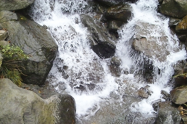 포토 JPG 주간 백그라운드 자연 산 풍경 사람없음 야외 물 골짜기 계곡 폭포 돌_바위 바위 숲 울릉도 봉래폭포 국내포토 자연요소 섬 경상북도 생태계 파일형식