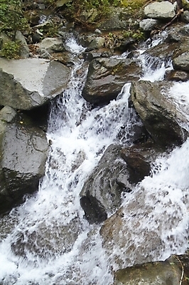 포토 JPG 주간 백그라운드 자연 산 풍경 사람없음 야외 물 골짜기 계곡 폭포 돌_바위 바위 숲 울릉도 봉래폭포 국내포토 자연요소 섬 경상북도 생태계 파일형식