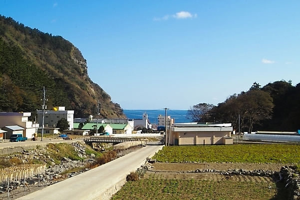 포토 JPG 주간 건축물 건축 길 섬 백그라운드 농업 자연 하늘 산 논 풍경 사람없음 야외 건물 마을 울릉도 비파산 섬마을 국내포토 자연요소 산업 경상북도 생태계 파일형식