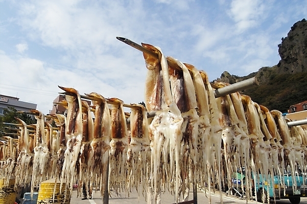 포토 JPG 주간 구름 음식 바다 자연 하늘 생물 산 연체동물 건조 사람없음 야외 오징어 울릉도 건어물 말린오징어 국내포토 자연요소 섬 무척추동물 수중동물 경상북도 생태계 파일형식