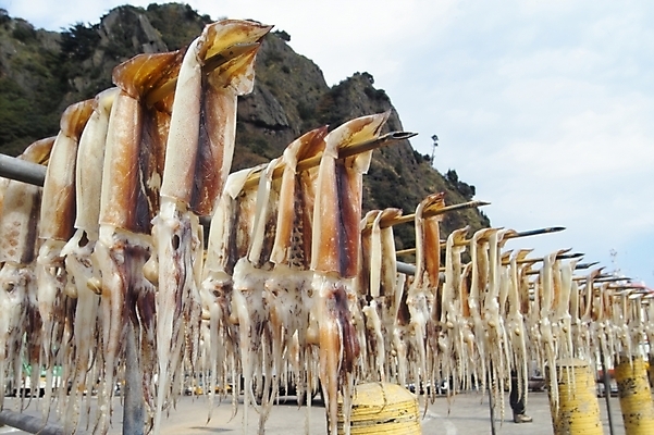 포토 JPG 주간 구름 음식 바다 자연 하늘 생물 산 연체동물 건조 사람없음 야외 오징어 울릉도 건어물 말린오징어 국내포토 자연요소 섬 무척추동물 수중동물 경상북도 생태계 파일형식