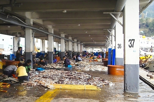 포토 JPG 바다 자연 어업 사람 풍경 여러명 해산물 오징어 어촌 울릉도 수산시장 어시장 국내포토 산업 섬 다수 연체동물 수중동물 시골 시장 경상북도 생태계 파일형식