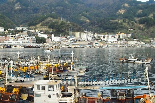 포토 JPG 주간 시설물 현대건축 건축 바다 섬 교통 수상교통 자연 산 어업 풍경 사람없음 야외 항구 어선 오징어 어촌 울릉도 오징어배 저동항 선박 국내포토 자연요소 건축물 산업 교통수단 배_교통 교통시설 연체동물 수중동물 시골 경상북도 생태계 파일형식