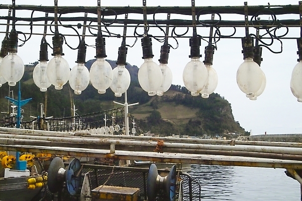 포토 JPG 주간 시설물 현대건축 건축 바다 섬 교통 수상교통 전구 자연 산 어업 풍경 사람없음 야외 항구 어선 오징어 어촌 울릉도 오징어배 저동항 선박 국내포토 자연요소 건축물 산업 교통수단 배_교통 교통시설 연체동물 수중동물 시골 경상북도 생태계 파일형식
