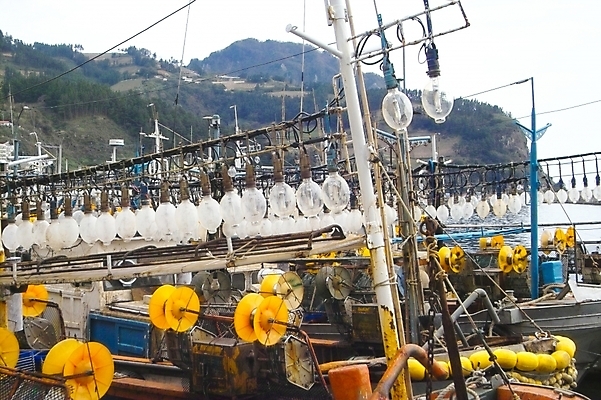 포토 JPG 주간 시설물 현대건축 건축 바다 섬 교통 수상교통 전구 자연 산 어업 풍경 사람없음 야외 항구 어선 오징어 어촌 울릉도 오징어배 저동항 선박 국내포토 자연요소 건축물 산업 교통수단 배_교통 교통시설 연체동물 수중동물 시골 경상북도 생태계 파일형식