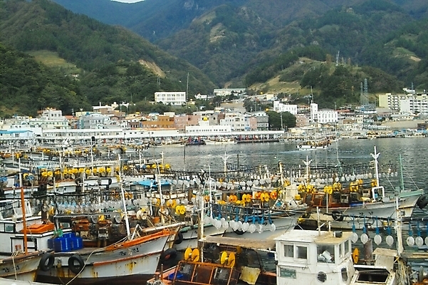 포토 JPG 주간 시설물 현대건축 건축 바다 섬 교통 수상교통 자연 산 어업 풍경 사람없음 야외 항구 어선 오징어 어촌 울릉도 오징어배 저동항 선박 국내포토 자연요소 건축물 산업 교통수단 배_교통 교통시설 연체동물 수중동물 시골 경상북도 생태계 파일형식