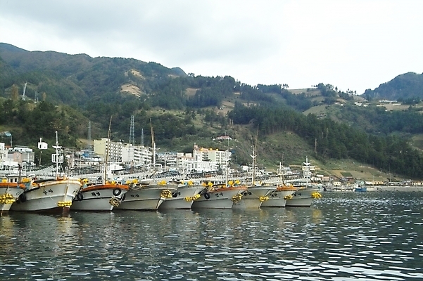 포토 JPG 주간 시설물 현대건축 건축 바다 섬 교통 수상교통 자연 산 어업 풍경 사람없음 야외 항구 어선 오징어 어촌 울릉도 오징어배 저동항 선박 국내포토 자연요소 건축물 산업 교통수단 배_교통 교통시설 연체동물 수중동물 시골 경상북도 생태계 파일형식