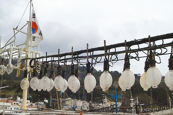 포토 JPG 주간 시설물 현대건축 건축 바다 섬 교통 수상교통 전구 자연 어업 풍경 사람없음 야외 항구 어선 태극기 어촌 울릉도 오징어배 저동항 선박 국내포토 자연요소 건축물 산업 교통수단 배_교통 교통시설 시골 국기 경상북도 생태계 파일형식