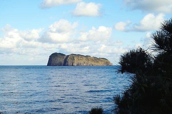 포토 JPG 주간 나무 식물 구름 바다 섬 백그라운드 자연 하늘 풍경 사람없음 야외 돌_바위 바위 울릉도 죽도 국내포토 자연요소 경상북도 생태계 검도용품 파일형식