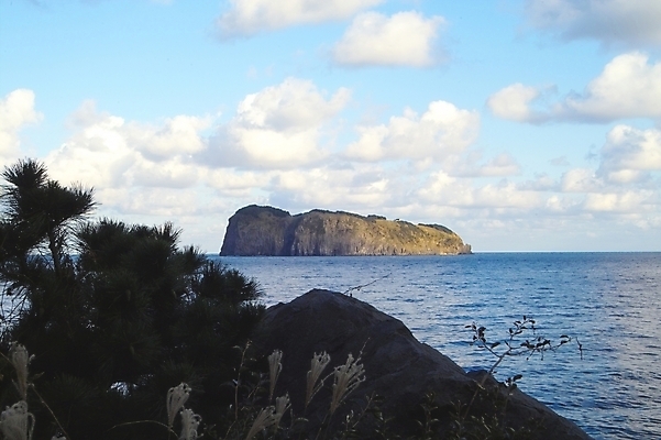 포토 JPG 주간 나무 식물 구름 바다 섬 백그라운드 자연 하늘 풍경 사람없음 야외 돌_바위 바위 울릉도 죽도 국내포토 자연요소 경상북도 생태계 검도용품 파일형식