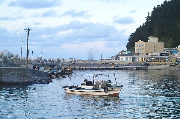 포토 JPG 주간 시설물 현대건축 건축 바다 섬 교통 수상교통 자연 산 어업 풍경 사람없음 야외 건물 항구 어선 방파제 울릉도 천부항 선박 국내포토 자연요소 건축물 공공시설 산업 교통수단 배_교통 교통시설 경상북도 생태계 파일형식