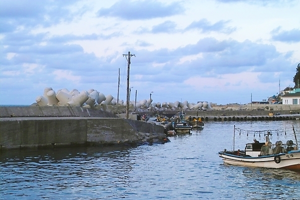 포토 JPG 주간 시설물 현대건축 건축 바다 섬 교통 수상교통 자연 어업 풍경 사람없음 야외 항구 어선 방파제 울릉도 천부항 선박 국내포토 자연요소 건축물 공공시설 산업 교통수단 배_교통 교통시설 경상북도 생태계 파일형식