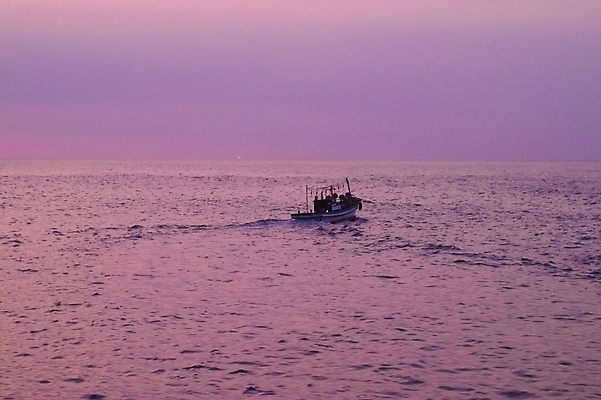 포토 JPG 주간 구름 바다 백그라운드 교통 수상교통 자연 하늘 어업 풍경 사람없음 야외 태양 일출 노을 일몰 어선 저녁 울릉도 천부항 선박 국내포토 자연요소 산업 교통수단 섬 배_교통 항구 야간 경상북도 생태계 파일형식