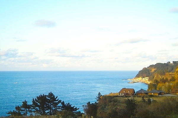 포토 JPG 주간 나무 식물 구름 건축물 건축 바다 섬 백그라운드 자연 하늘 주택 풍경 사람없음 야외 건물 울릉도 송곳산 국내포토 자연요소 산 경상북도 생태계 파일형식