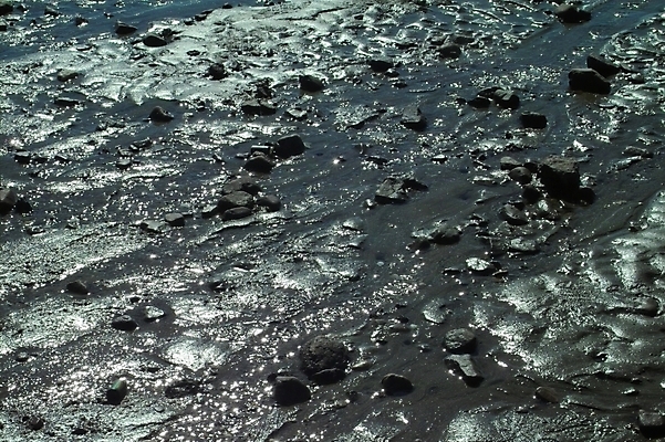 포토 JPG 주간 바다 섬 백그라운드 자연 풍경 사람없음 야외 갯벌 제부도 화성시 국내포토 자연요소 생태계 경기도 화성_경기도 파일형식