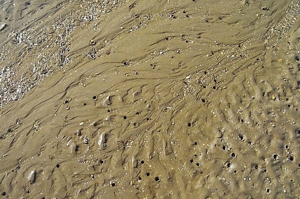 포토 JPG 주간 모래 바다 섬 백그라운드 자연 풍경 해변 사람없음 야외 구멍 갯벌 제부도 화성시 국내포토 자연요소 생태계 경기도 화성_경기도 파일형식