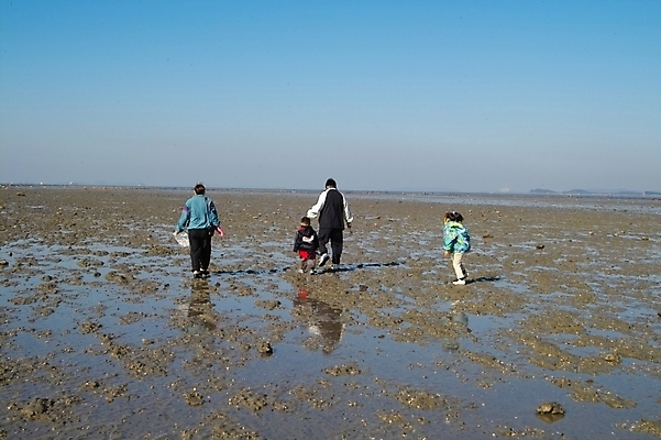 포토 JPG 주간 여자 남자 바다 섬 여행 자연 하늘 휴가 사람 풍경 여러명 야외 조약돌 갯벌 제부도 조개잡이 화성시 국내포토 자연요소 다수 어업 돌_바위 생태계 경기도 화성_경기도 파일형식