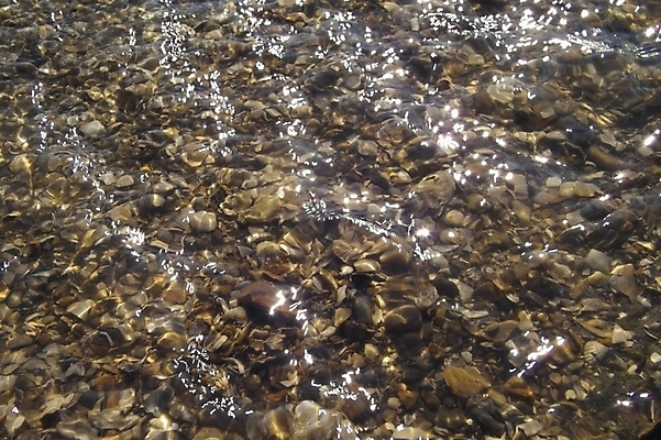 포토 JPG 주간 바다 섬 백그라운드 자연 풍경 사람없음 야외 물 조약돌 갯벌 제부도 화성시 국내포토 자연요소 돌_바위 생태계 경기도 화성_경기도 파일형식