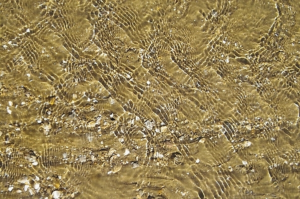 포토 JPG 주간 모래 바다 섬 백그라운드 자연 조개 풍경 해변 사람없음 야외 물 껍질 조약돌 갯벌 제부도 화성시 국내포토 자연요소 어패류 돌_바위 생태계 경기도 화성_경기도 파일형식