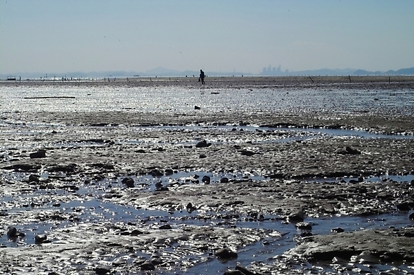 포토 JPG 주간 바다 섬 백그라운드 자연 하늘 사람 풍경 야외 조약돌 갯벌 제부도 화성시 국내포토 자연요소 돌_바위 생태계 경기도 화성_경기도 파일형식