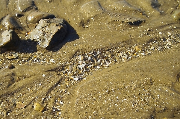 포토 JPG 주간 바다 섬 백그라운드 자연 풍경 해변 사람없음 야외 돌_바위 조약돌 갯벌 제부도 화성시 국내포토 자연요소 생태계 경기도 화성_경기도 파일형식