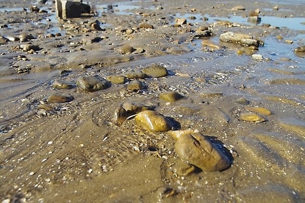 포토 JPG 주간 바다 섬 배경화면 백그라운드 자연 풍경 해변 사람없음 야외 돌_바위 조약돌 갯벌 제부도 화성시 국내포토 자연요소 생태계 경기도 화성_경기도 파일형식
