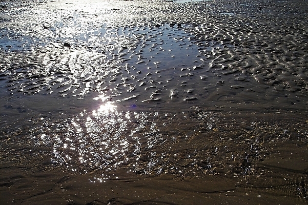 포토 JPG 주간 바다 섬 백그라운드 자연 풍경 해변 사람없음 야외 조약돌 갯벌 제부도 화성시 국내포토 자연요소 돌_바위 생태계 경기도 화성_경기도 파일형식