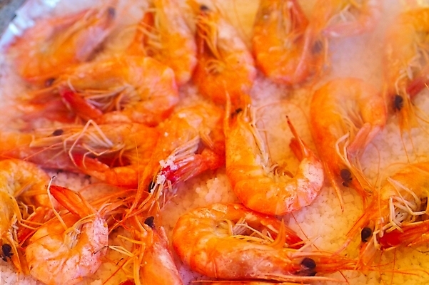 포토 JPG 새우 사람없음 구이 해산물 소금 새우구이 소금구이 국내포토 음식 갑각류 파일형식