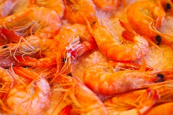 포토 JPG 동물 음식 식재료 어패류 새우 어류 사람없음 구이 해산물 소금 새우구이 소금구이 국내포토 갑각류 수중동물 파일형식