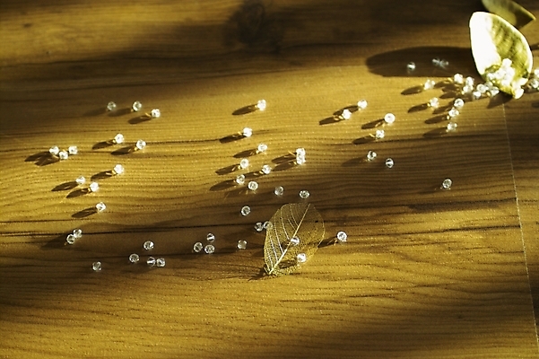 포토 JPG 식물 백그라운드 잎 장신구 자연 나뭇잎 바닥 사람없음 목재 마루 비즈 방바닥 국내포토 나무 재료 생태계 파일형식