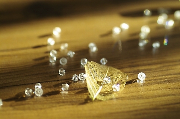 포토 JPG 식물 백그라운드 잎 장신구 자연 나뭇잎 바닥 사람없음 목재 마루 비즈 방바닥 국내포토 나무 재료 생태계 파일형식