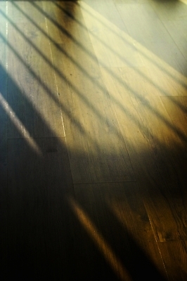 포토 JPG 주간 시설물 현대건축 건축 바닥 실내 그림자 사람없음 빛 햇빛 건축부분 마루 방바닥 국내포토 자연요소 건축물 내부 태양 파일형식